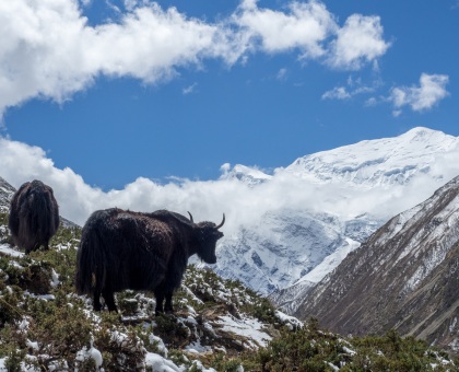 10 Days Short Annapurna Circuit Trekking